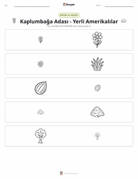 Kaplumbağa Adası - Yerli Amerikalı yazdırılabilir çalışma sayfası önizlemesi