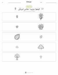 کچھوا جزیرہ - مقامی امریکی پرنٹ کرنے کے قابل ورکشیٹ کا پیش نظارہ
