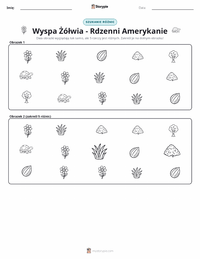 Podgląd drukowalnego arkusza ćwiczeń Wyspa Żółwia - Rdzenni Amerykanie