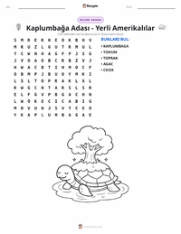 Kaplumbağa Adası - Yerli Amerikalı yazdırılabilir çalışma sayfası önizlemesi
