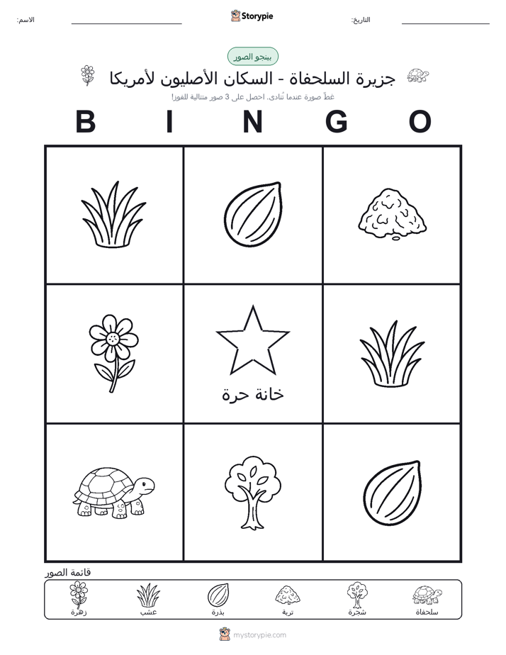 بينغو الصور