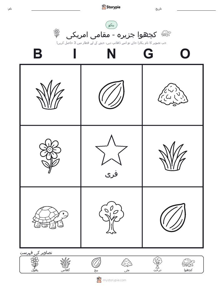 تصویری بنگو