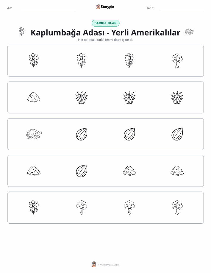 Farklı Olanı Bul