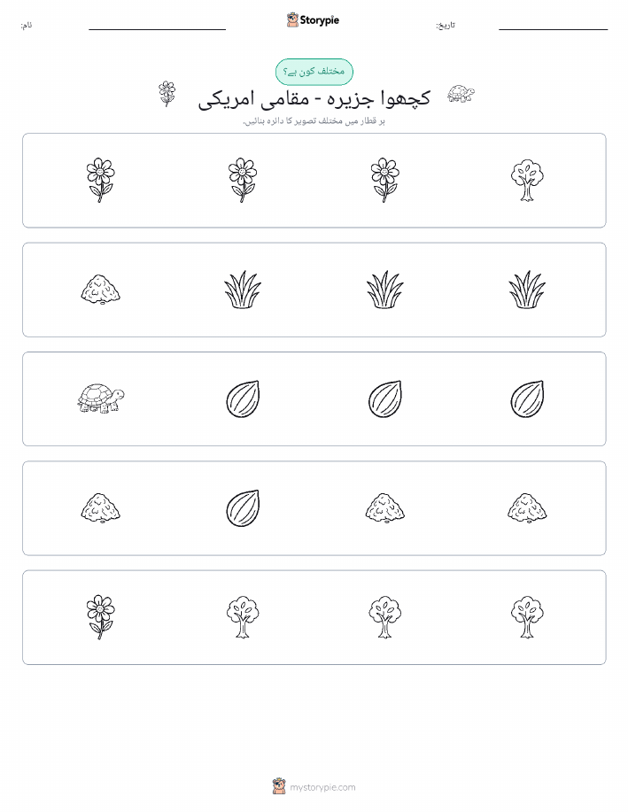 عجیب ایک