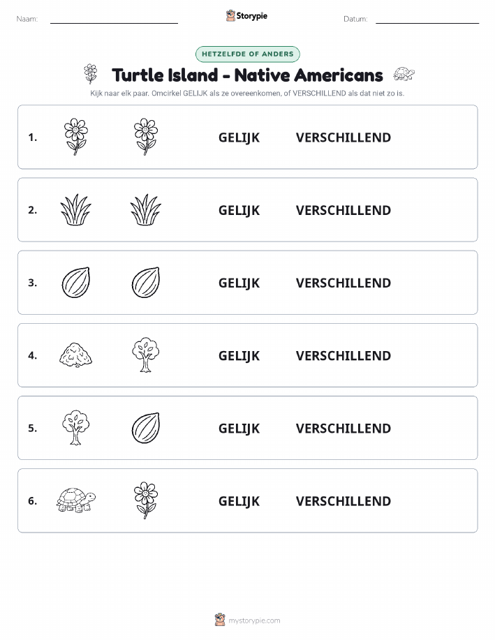 Zelfde of Verschillend