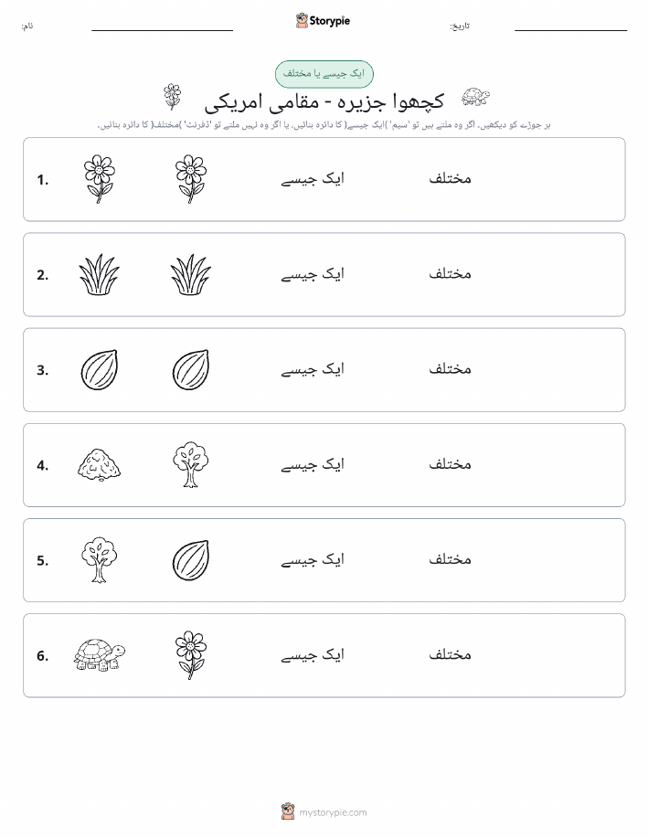 ایک جیسا یا مختلف