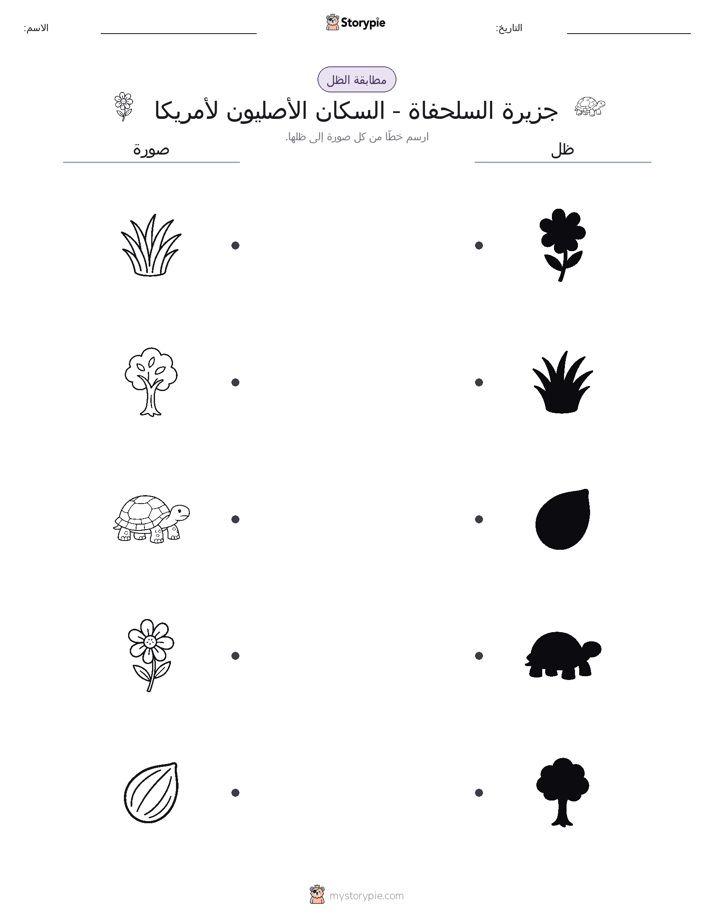 مطابقة الظل