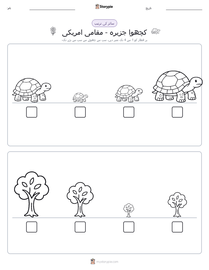 سائز کی ترتیب