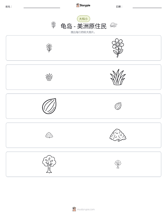 分类