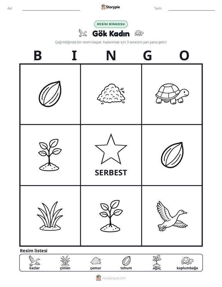 Resim Bingo