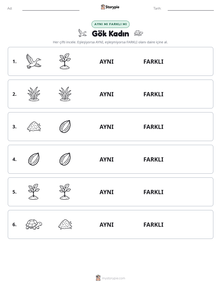 Aynı mı Farklı mı