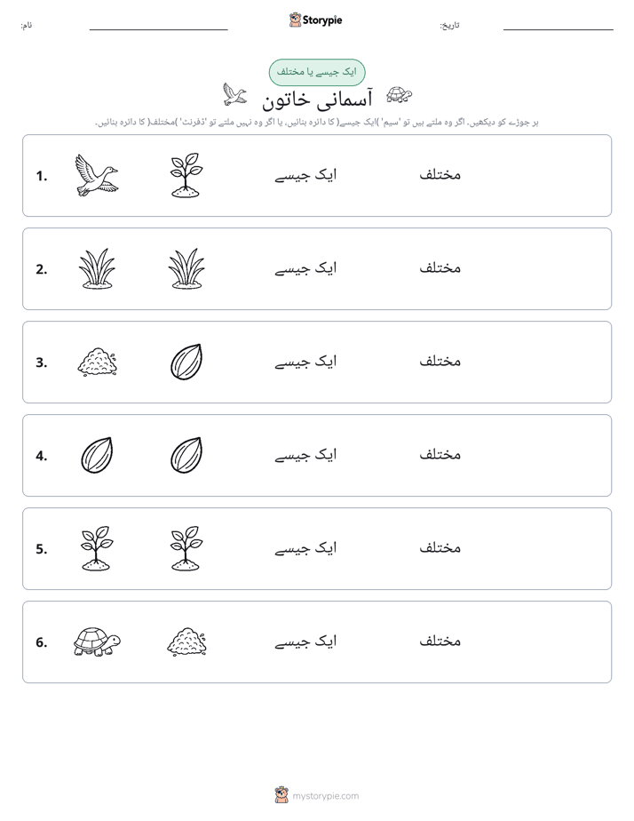 ایک جیسا یا مختلف