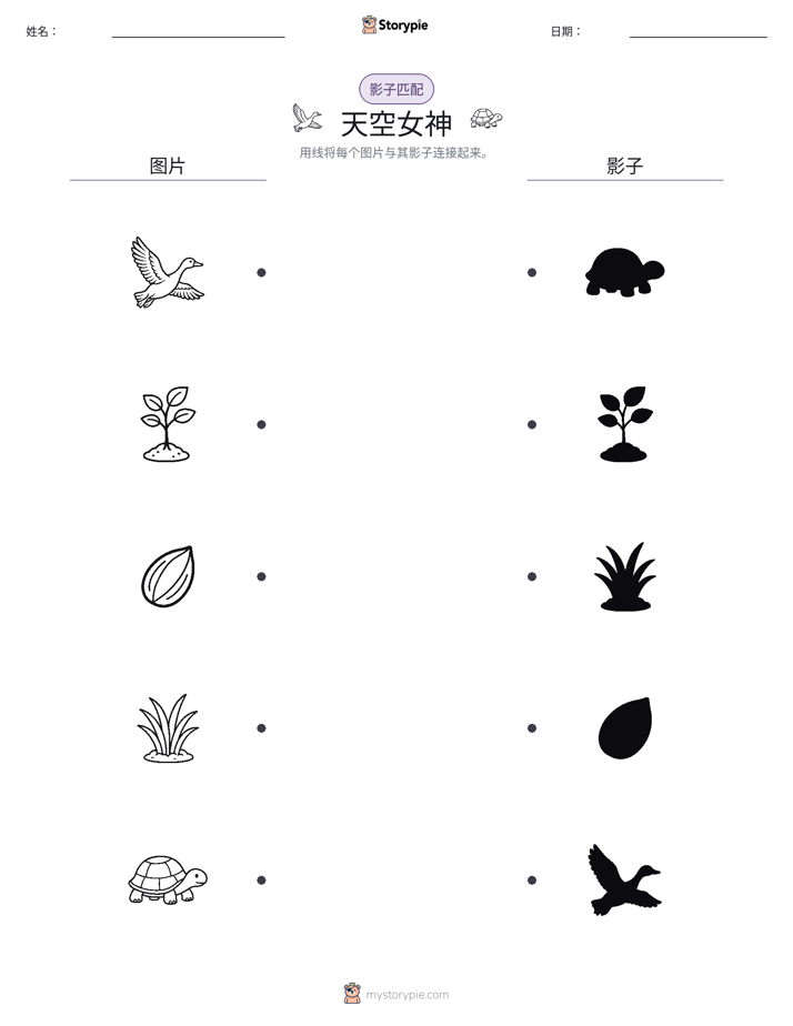 影子匹配