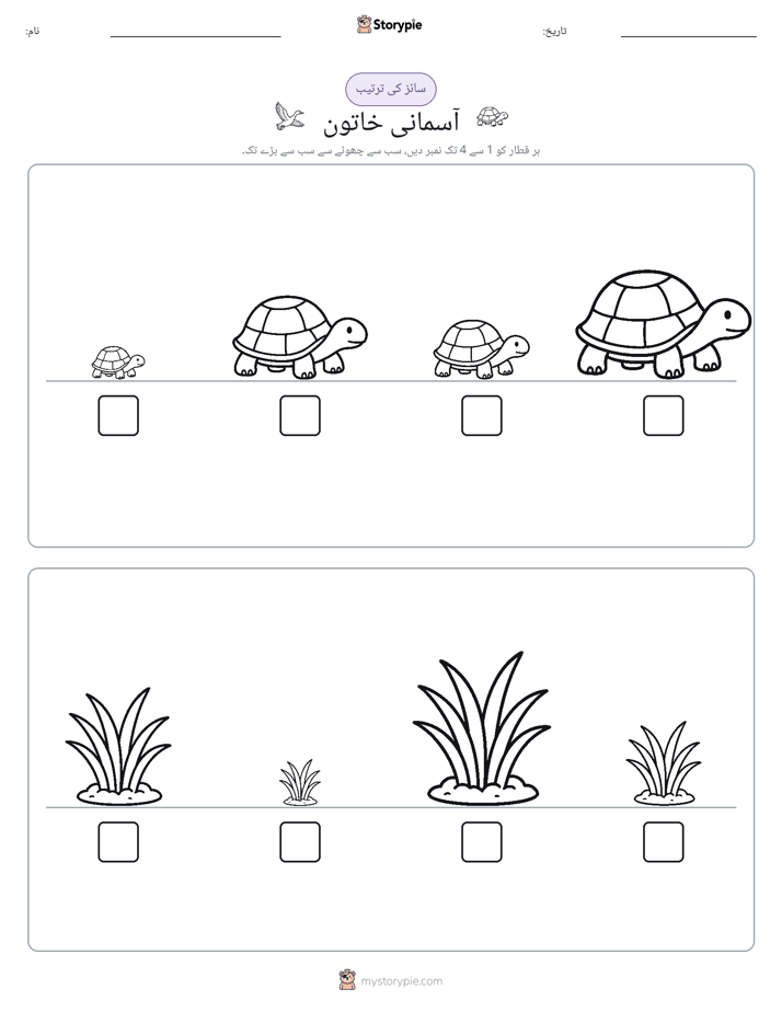 سائز کی ترتیب