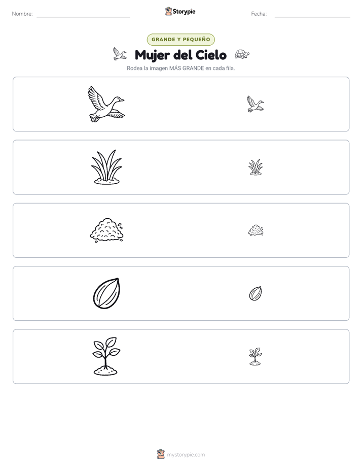 Clasificación