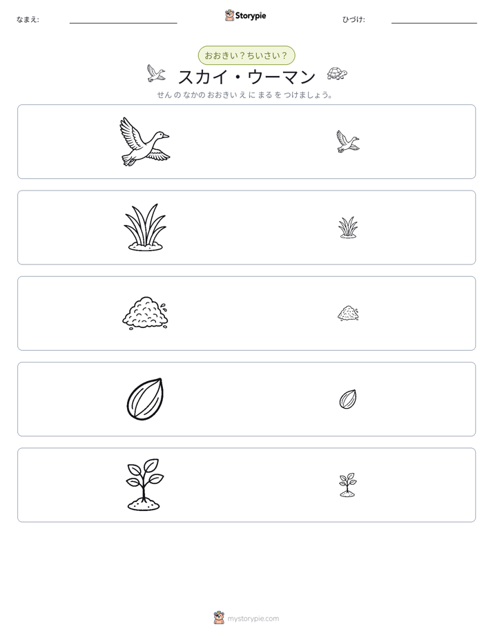 ソーティング
