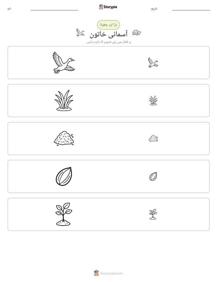 ترتیب دینا