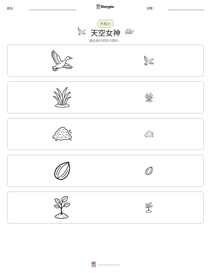 分类