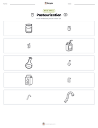 Pasteurization printable worksheet preview