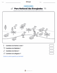 Aperçu de la feuille de travail imprimable Parc national des Everglades