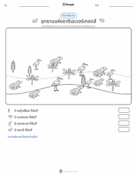 อุทยานแห่งชาติเอเวอร์เกลดส์ ตัวอย่างแบบฝึกหัดที่พิมพ์ได้