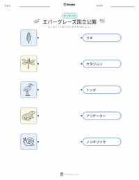 エバーグレーズ国立公園 の印刷可能ワークシートプレビュー