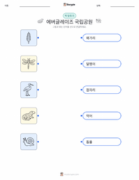 에버글레이즈 국립공원 어린이용 인쇄 가능한 워크시트