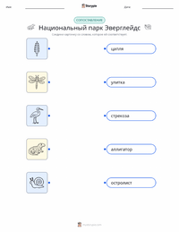 Национальный парк Эверглейдс распечатываемый рабочий лист для детей