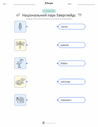 Національний парк Еверглейдс роздруківка для дітей