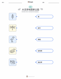 大沼泽地国家公园 可打印工作表，适合儿童