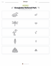 Everglades National Park printable worksheet preview