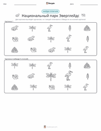 Национальный парк Эверглейдс предварительный просмотр распечатываемого рабочего листа