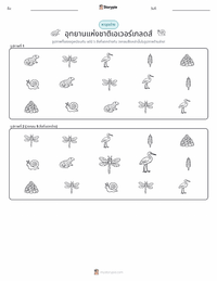 อุทยานแห่งชาติเอเวอร์เกลดส์ ตัวอย่างแบบฝึกหัดที่พิมพ์ได้