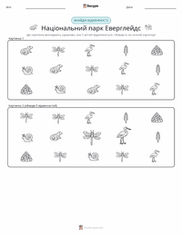 Національний парк Еверглейдс попередній перегляд роздруківки