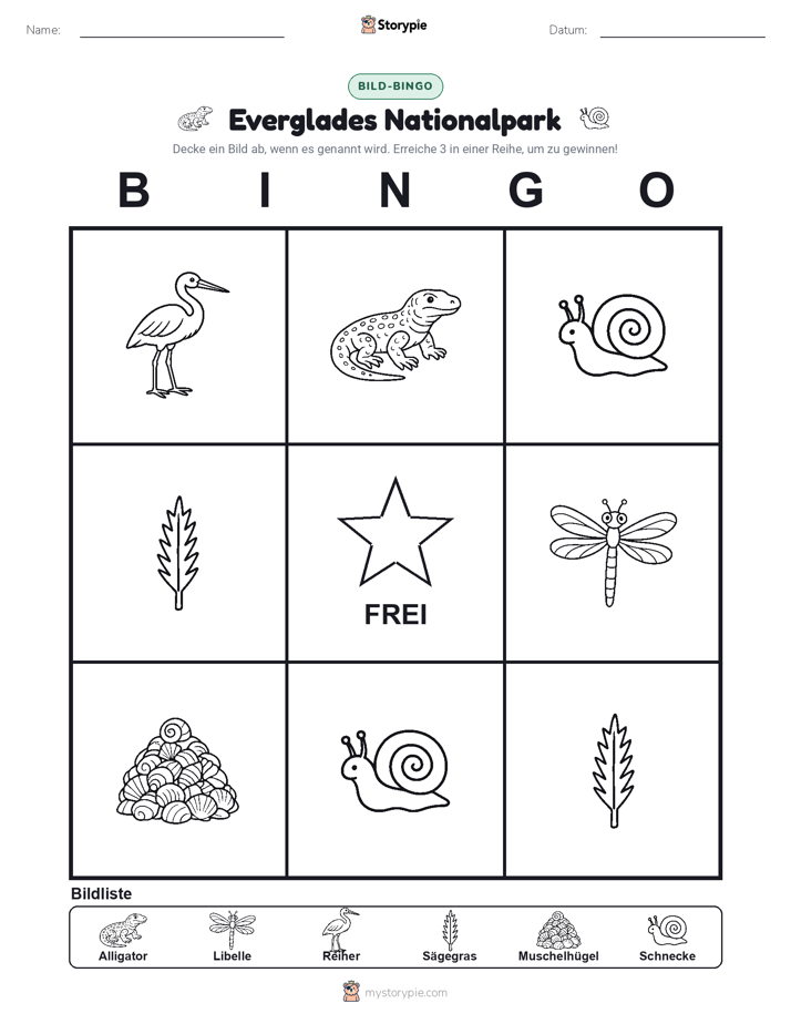 Bild-Bingo
