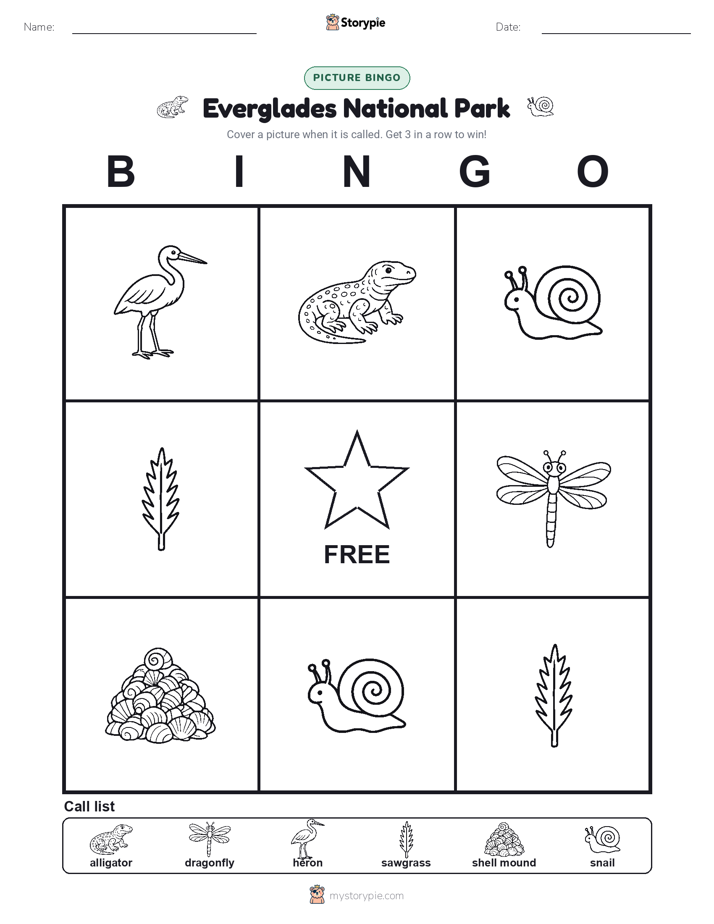 Picture Bingo