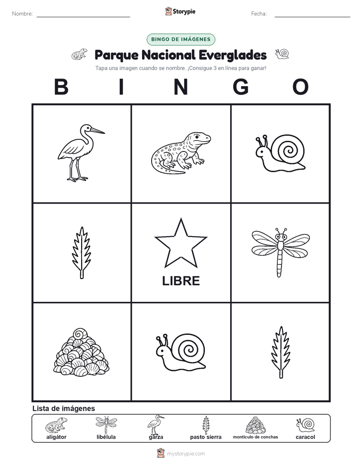 Bingo de Imágenes