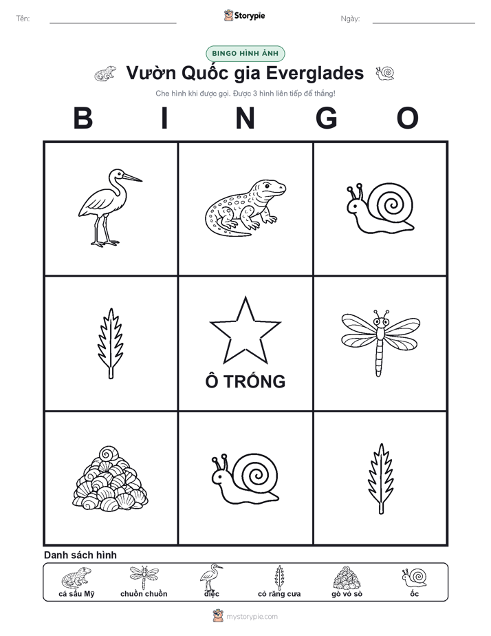 Bingo Hình Ảnh