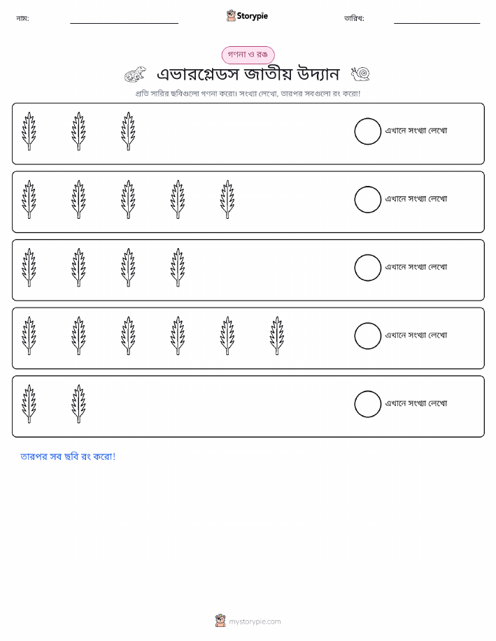 গণনা ও রঙ