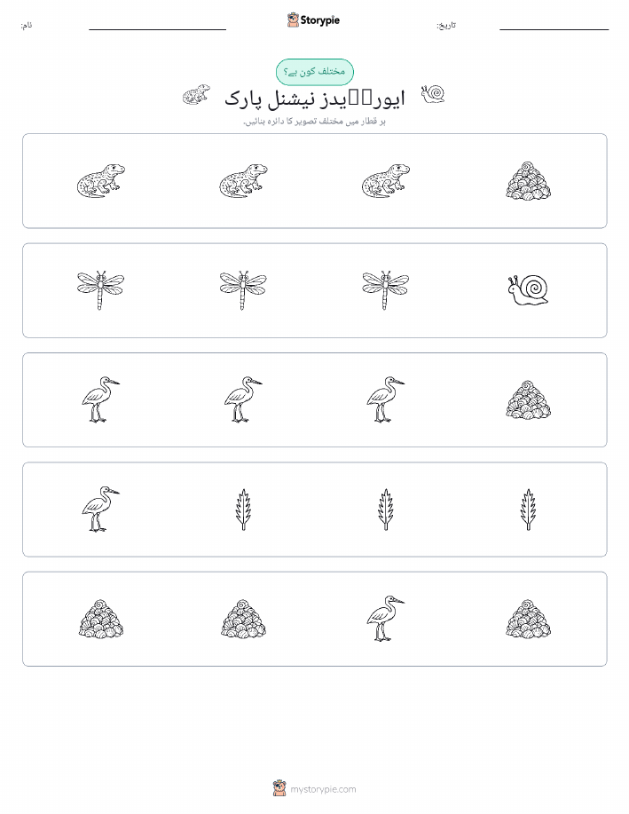عجیب ایک