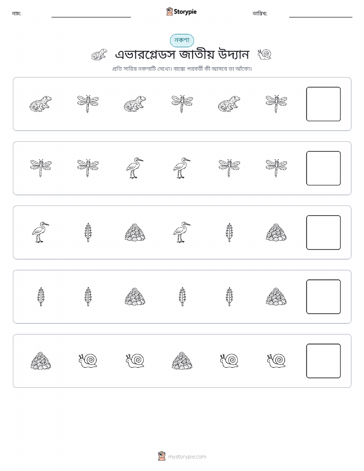 প্যাটার্ন