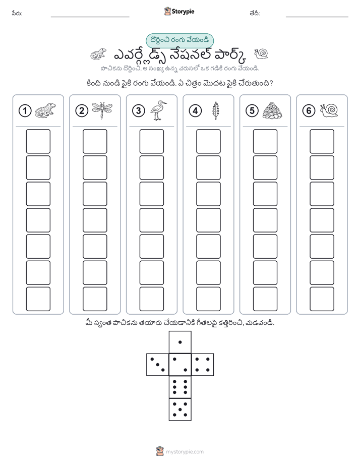 రోల్ & రంగు