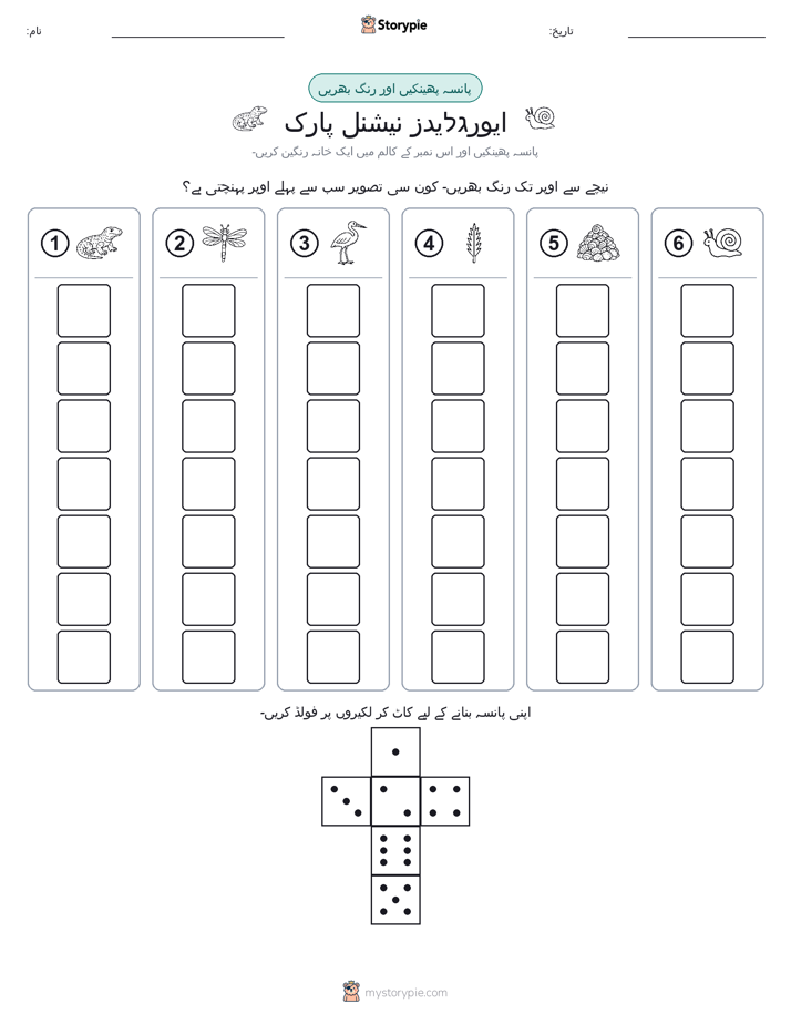 رول اور رنگ