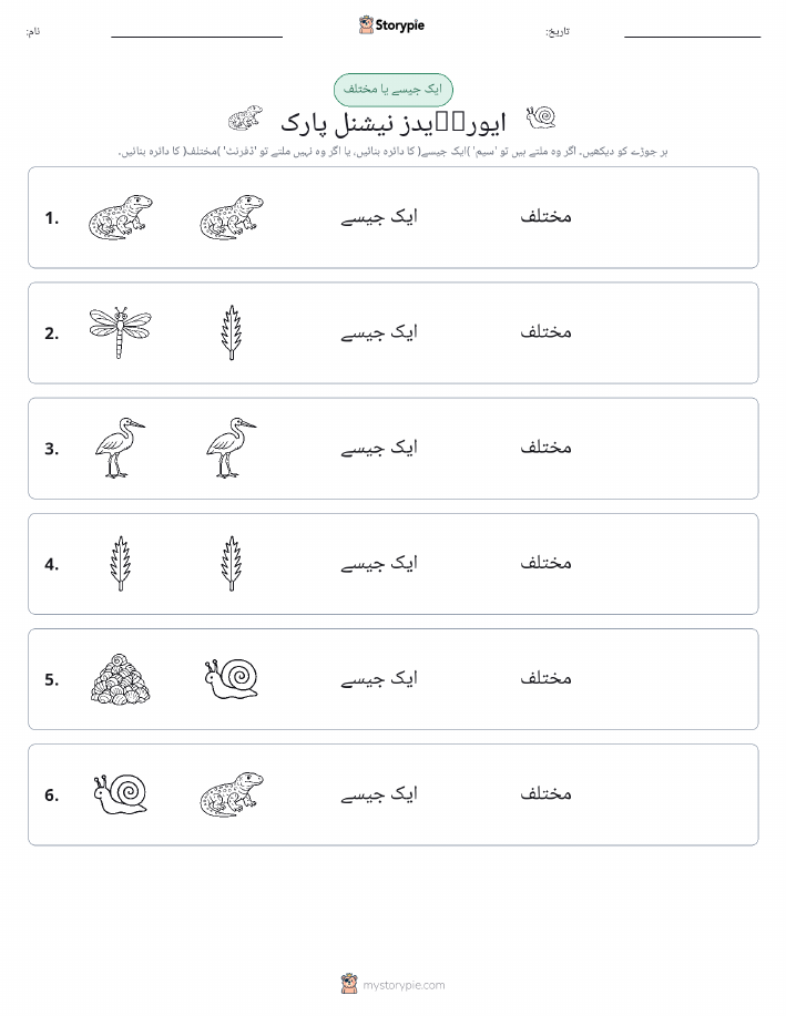 ایک جیسا یا مختلف