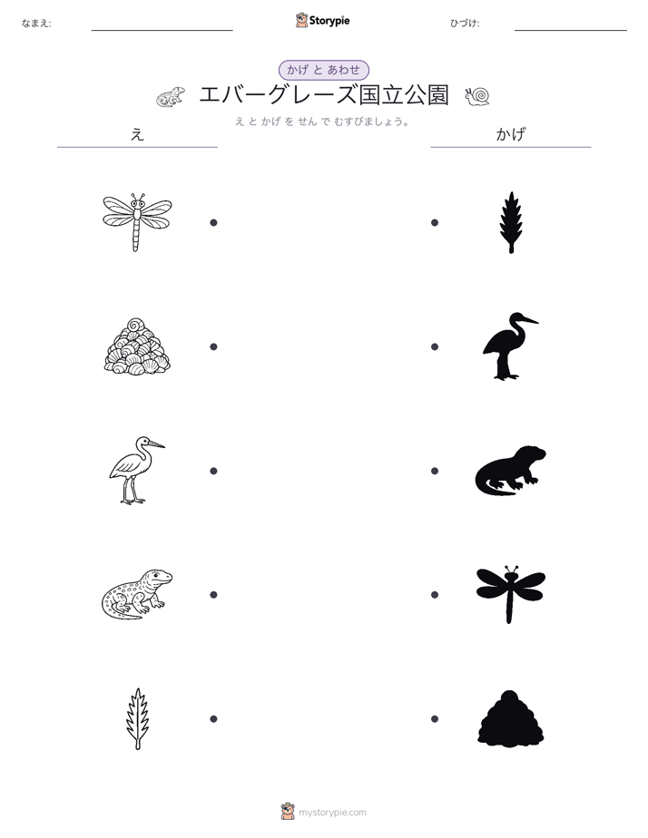 シャドウマッチ