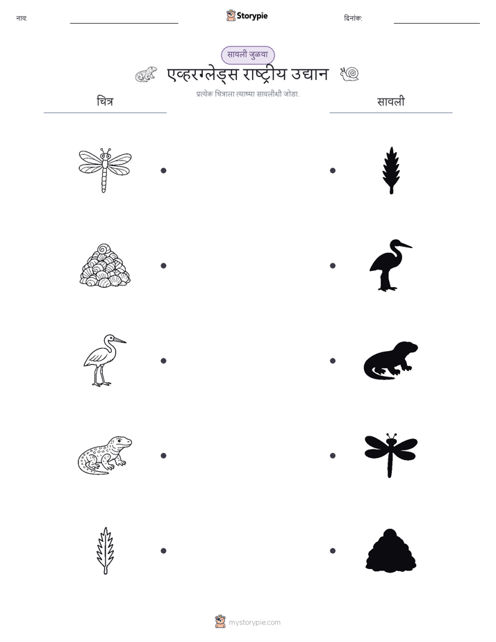 छाया जुळवा
