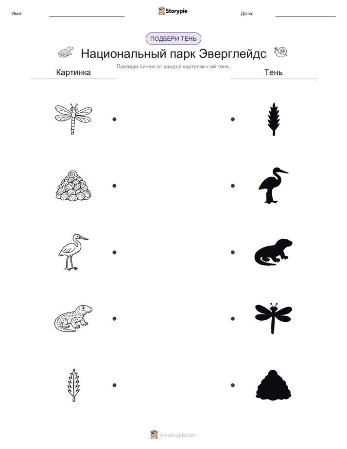 Сопоставление теней