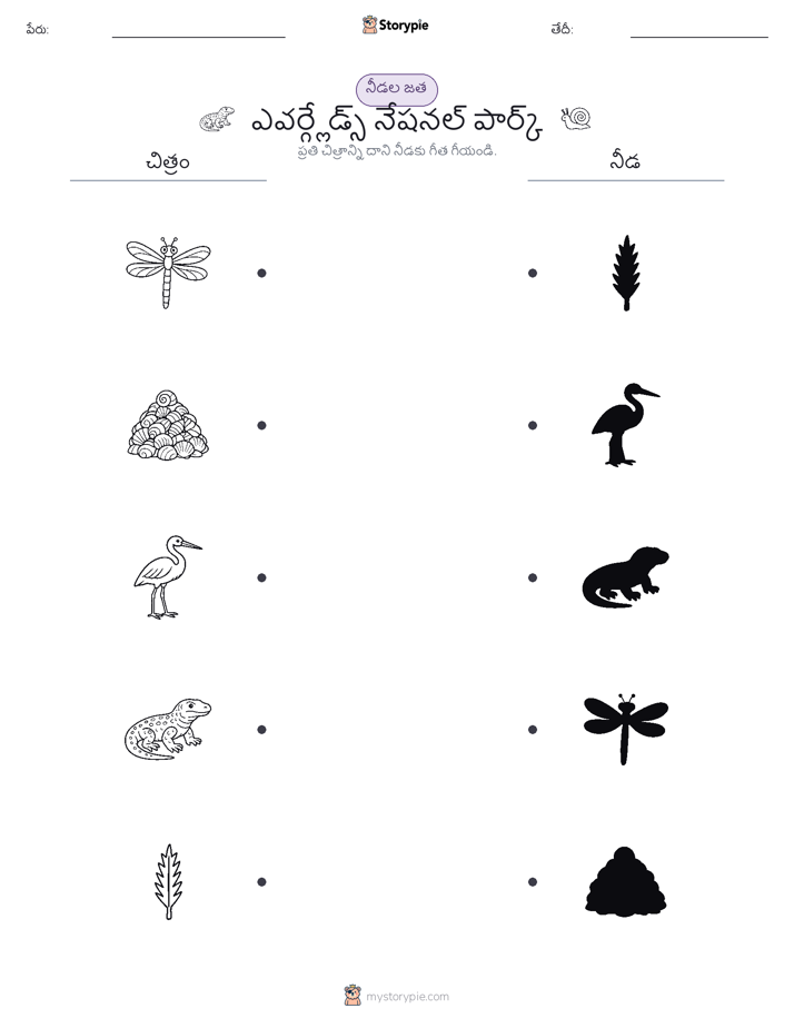 షాడో మ్యాచ్