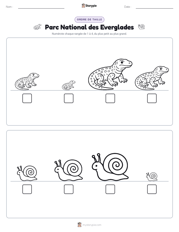 Ordre de Taille
