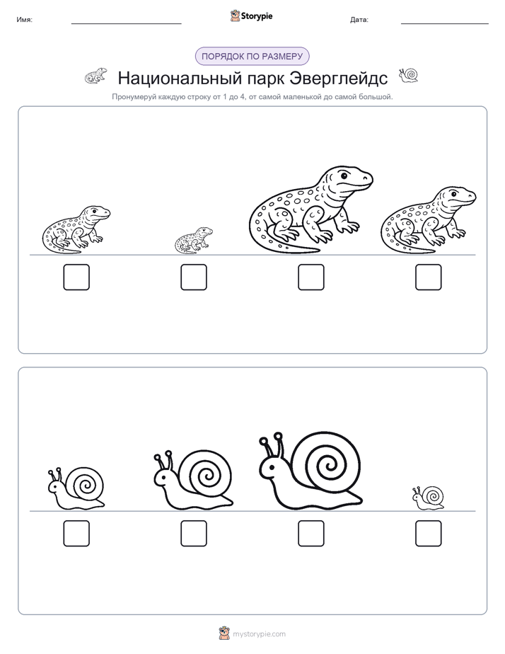 Размеры в порядке
